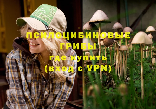 ALPHA-PVP Нефтегорск