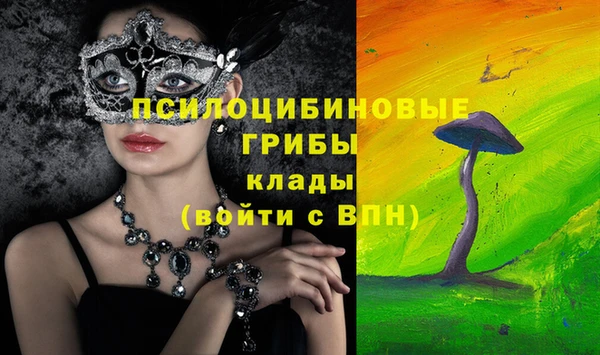 2c-b Нефтекумск