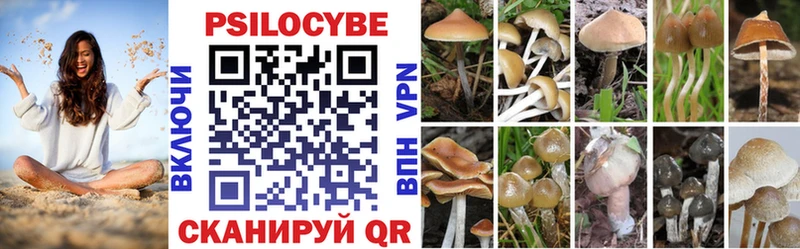 Псилоцибиновые грибы Magic Shrooms  купить   Советск 