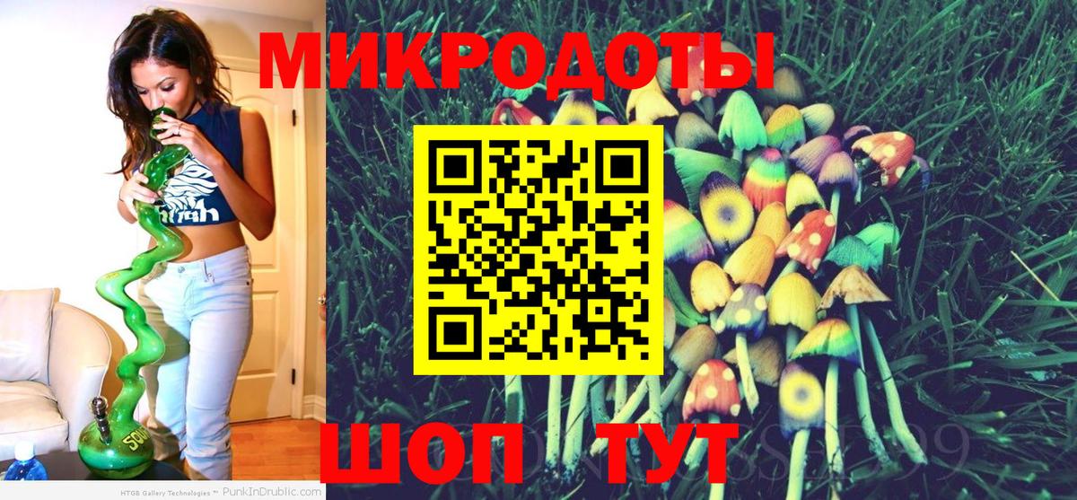 Псилоцибиновые грибы Psilocybine cubensis Советск