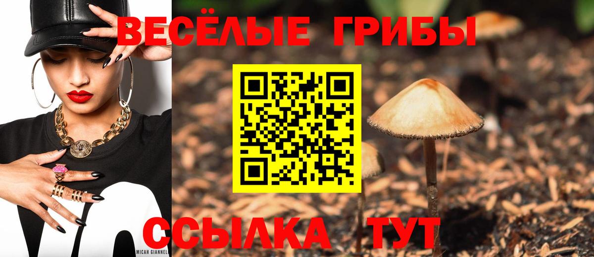 наркота  Галлюциногенные грибы Psilocybe  Вход с VPN  Советск 